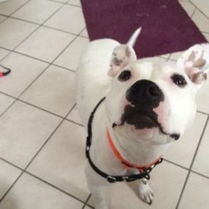 Meet your Posher, Nate